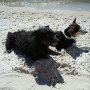 Meet your Posher, Colleen